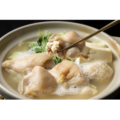 博多水炊き 2～3人前　GW08