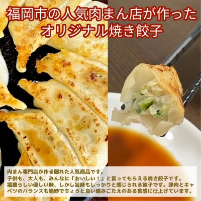 【福岡市】点心2種セット(焼き餃子48個と小籠包20個)KR12