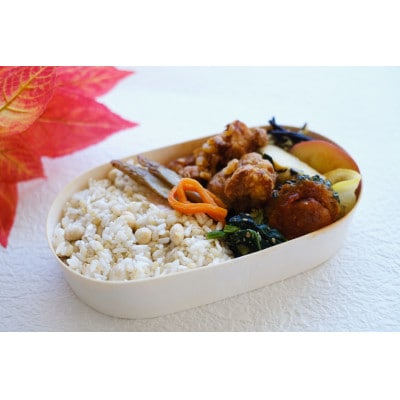 【冷凍】お弁当5食セット　無添加　栽培期間中農薬不使用　特別栽培野菜　九州　福岡　国産食材　MC20