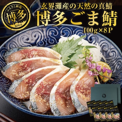 玄界灘産 天然真鯖 博多ごま鯖　800g(100g×8パック) JX07