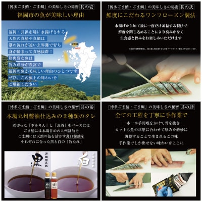 玄界灘産 天然真鯖 博多ごま鯖　800g(100g×8パック) JX07