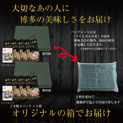 玄界灘産 天然真鯖 博多ごま鯖　800g(100g×8パック) JX07