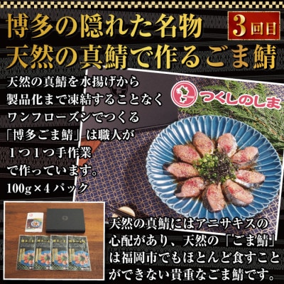 【毎月定期便】博多居酒屋3回定期便　とりかわ・餃子・ごま鯖　JX14全3回