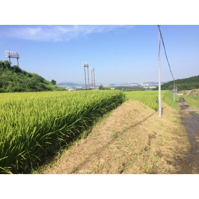 博多地産地消×AND THE SOIL.　夢つくし胚芽米17kg