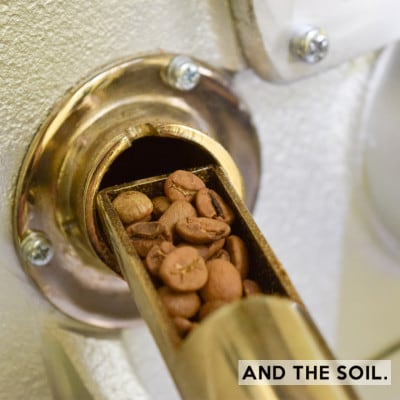 AND THE SOIL.オリジナル焙煎オーガニックコーヒー豆GUA　中煎り400g ME03