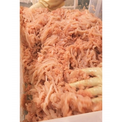 【福岡市】ゆずいか明太　500g(100g×5)【中島商店】 AK09