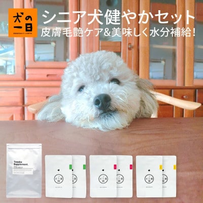 【無添加 犬のおやつ】毛艶ケア&美味しく水分補給!シニア犬健やかセット(福岡市) RS07