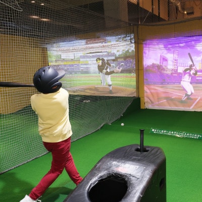 「王貞治ベースボールミュージアム」入場チケット<ペア>野球が楽しめるアトラクションも!