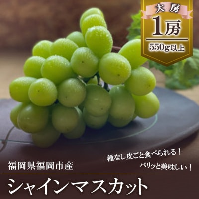 【2025年8月以降順次発送】福岡市産シャインマスカット DQ01