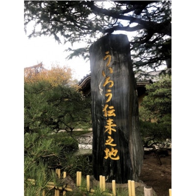 博多ういろう　定番6個入り (抹茶、白餡、ほうじ茶) PZ01