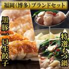 博多ブランドセット　博多黒豚一口生餃子75個ともつ鍋2.5人前(醤油味)　少人数向け SN014