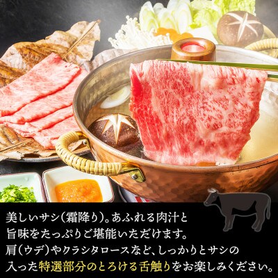 とろける 極上霜降りスライス 博多和牛A5 1kg (4～5人前) RN02