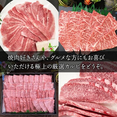 希少部位厳選!特選カルビ 博多和牛 A5 700g RN10