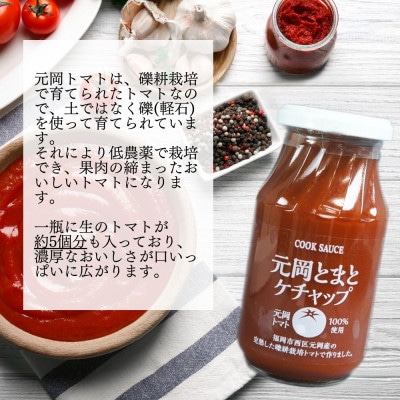 元岡とまとケチャップ 330g×4 福岡市元岡産トマト使用 無添加製法 GB06