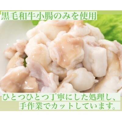 博多の名物!!創業1987年老舗和牛もつ鍋　醤油味　4、5人前 LW04