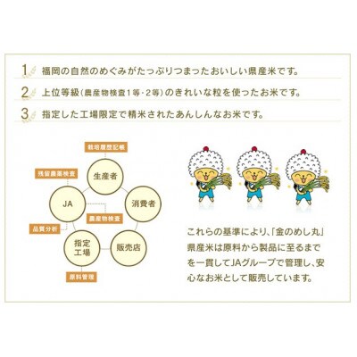 福岡県産めし丸夢つくし　10kg JU01