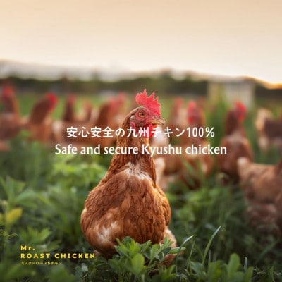 福岡発!ローストチキン専門店の丸鶏〈秘伝の蜂蜜醤油タレ〉 VN001