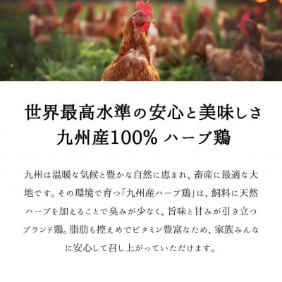 福岡発!ローストチキン専門店のこだわりモモ肉と大手羽のセット〈秘伝の蜂蜜醤油タレ〉 VN002