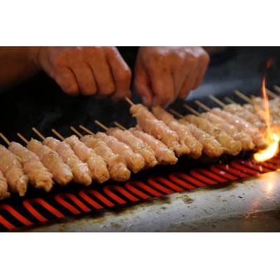 博多かわ屋のとり皮(冷凍)/30本入 VH001