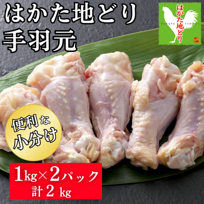 はかた地どり 手羽元(2kg)(福岡市) WM021