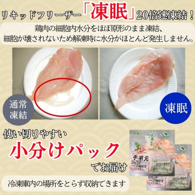 はかた地どり 手羽元(2kg)(福岡市) WM021