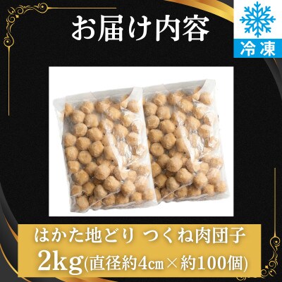 はかた地どり 肉団子(2kg)(福岡市) WM029