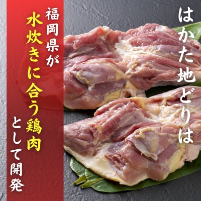 はかた地どり 水炊きセット (2～3人前)(福岡市) WM031