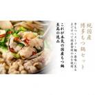 【純国産】博多もつ鍋セット(2～3人前)≪醤油味≫ WH004