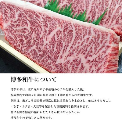 【博多和牛】黒毛和牛特選ももステーキ(500g) DR08