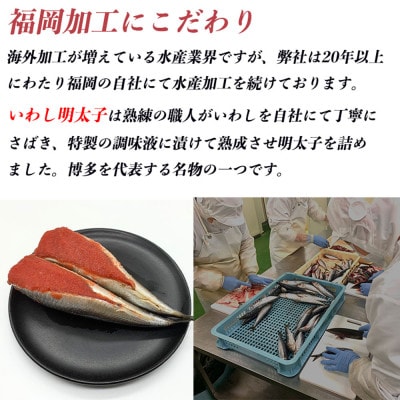 博多名物 いわし明太子 ゆず風味 15尾 ( 5尾 x 3 ) WG008