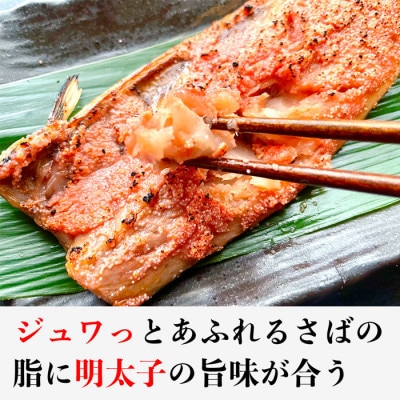 博多名物 さば明太 ( さばめんたい ) 切身 5切 WG011