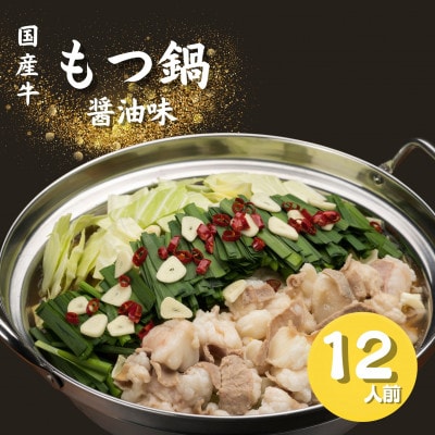 国産牛小腸 もつ鍋(醤油味) 12人前 スープ付き(福岡市)WS021