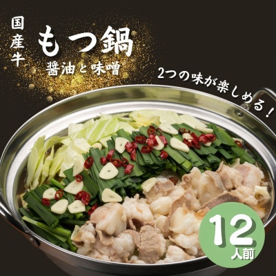2つの味が楽しめる国産牛もつ鍋 12人前 醤油味&みそ味希釈スープ付き(福岡市)WS023