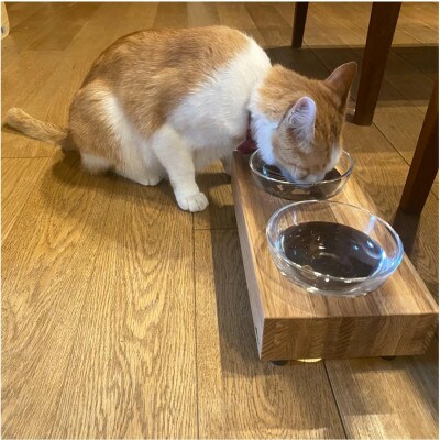 ペットフードテーブル　hole S 2連(福岡市内製造)(ガラスボウル付き)(福岡市) VL013