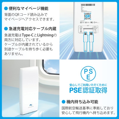 10000mAh モバイルバッテリー P1 [多機能搭載] ABM001