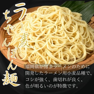 こだわりスープもつ鍋(醤油味)10人前セット!福岡特産ラー麦使用ちゃんぽん麺付(福岡市) ZT023