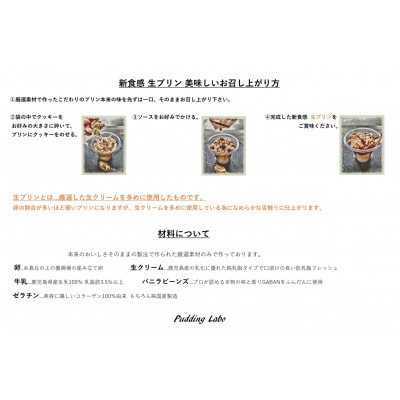 福岡市内製造　新食感生プリンセット(プレーン・塩黒蜜)　計8個 YG001
