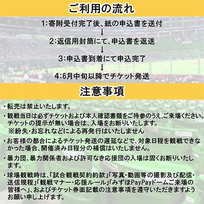 Vシート 2026(ホークス試合観戦2連席)
