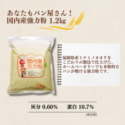 【福岡市内製造】あなたもパン屋さん!　福岡県産強力粉 1.2kg入×5袋セット(6kg)AED002