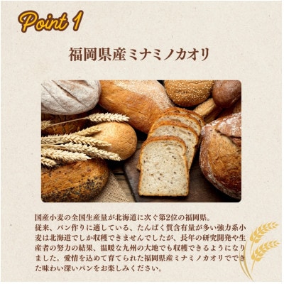 【福岡市内製造】あなたもパン屋さん!　福岡県産強力粉 1.2kg入×5袋セット(6kg)AED002