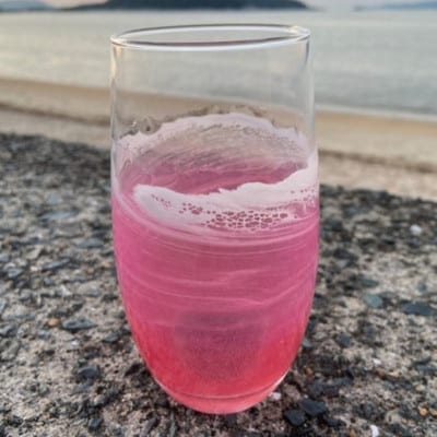 【福岡市】オーシャングラス　1個　420ml【ピンク系】 ACM002VC02