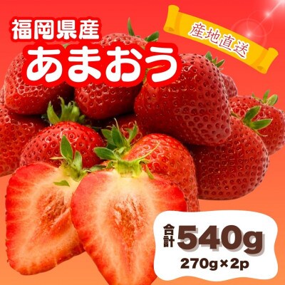 増永農園のあまおう270g×2パック(福岡市) WS015