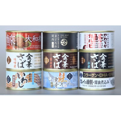 木の屋石巻水産　美里町直売所厳選缶詰9缶セット