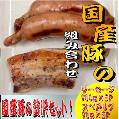 国産豚スペアリブと国産豚骨付きソーセージセット