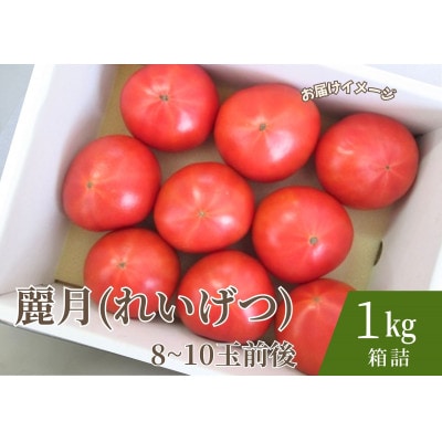 デリシャスファームのトマト(麗月) 1kg箱詰