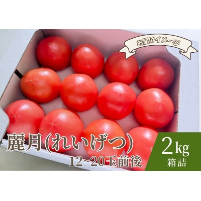 デリシャスファームのトマト(麗月) 2kg箱詰