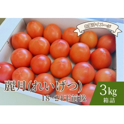 デリシャスファームのトマト(麗月) 3kg箱詰