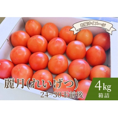 デリシャスファームのトマト(麗月) 4kg箱詰