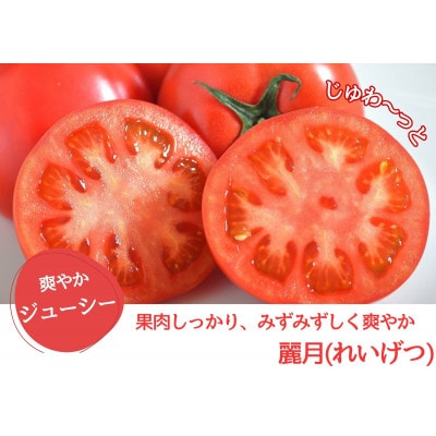 デリシャスファームのトマト(麗月) 4kg箱詰