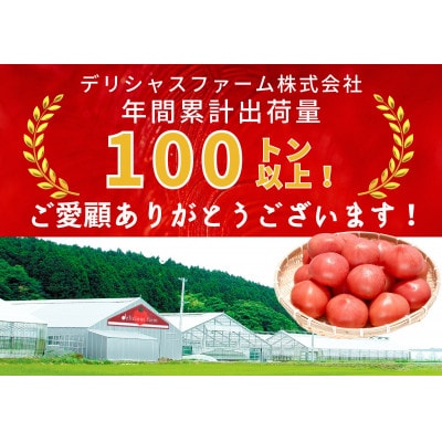 デリシャスファームのトマト(麗月) 4kg箱詰